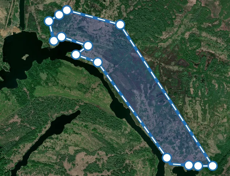 Контур участка вдоль протоки к городищу на спутниковом снимке